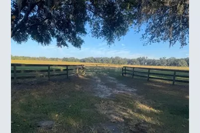 Tbd NW 100th Street, Ocala, FL 34475 - Photo 7