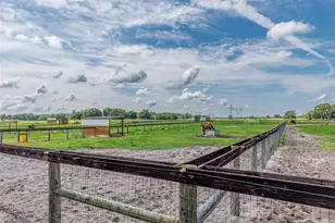 1231 NW 102nd Blvd, Wildwood, FL 34785 - Photo 73