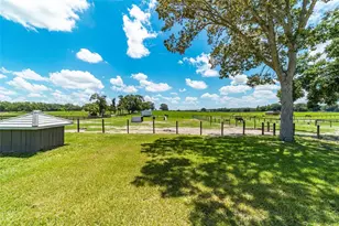 1231 NW 102nd Blvd, Wildwood, FL 34785 - Photo 71