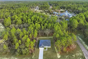 1575 W Lamplighter St, Citrus Springs, FL 34434 - Photo 3