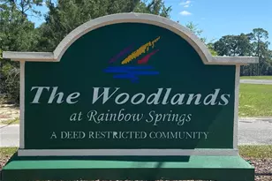 9825 SW 202nd Avenue Rd, Dunnellon, FL 34431 - Photo 55