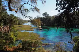 9825 SW 202nd Avenue Rd, Dunnellon, FL 34431 - Photo 69