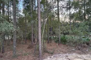 13056 SW 64th Ln, Ocala, FL 34481 - Photo 7