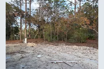 8669 SW 138th Terrace, Dunnellon, FL 34432 - Photo 9