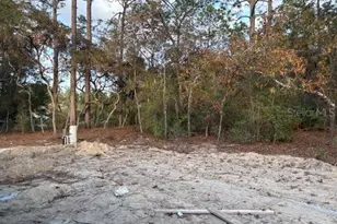 8669 SW 138th Terrace, Dunnellon, FL 34432 - Photo 9