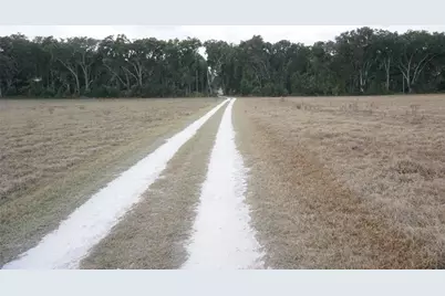 00 (Tbd) NE 141st Street, Citra, FL 32113 - Photo 3