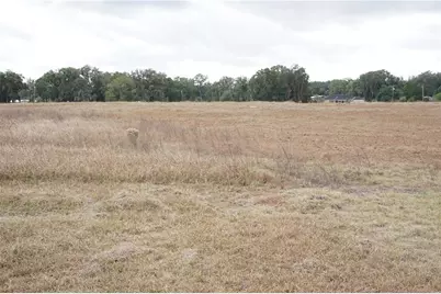 00 (Tbd) NE 141st Street, Citra, FL 32113 - Photo 13