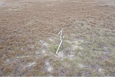 00 (Tbd) NE 141st Street, Citra, FL 32113 - Photo 9