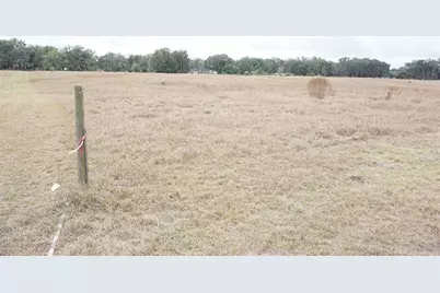 00 (Tbd) NE 141st Street, Citra, FL 32113 - Photo 7