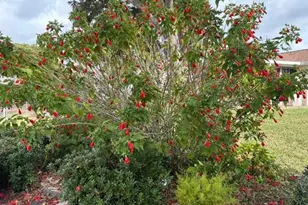 17747 SE 97th Ave, Summerfield, FL 34491 - Photo 51