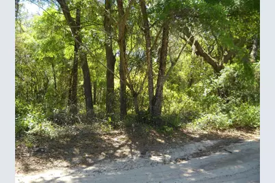 00 NE 161 Street, Citra, FL 32113 - Photo 1