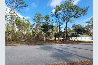 0 NW Foxglove Lane, Dunnellon, FL 34431 - Photo 3