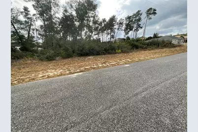 Tbd SW 110th Lane, Ocala, FL 34476 - Photo 1