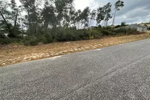 Tbd SW 110th Ln, Ocala, FL 34476 - Photo 1