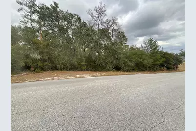 Tbd SW 111th Place, Ocala, FL 34476 - Photo 5