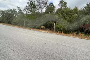 Tbd SW 111th Pl, Ocala, FL 34476 - Photo 1
