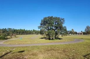 11370 SE 123rd Ave, Dunnellon, FL 34431 - Photo 19