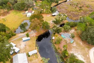 21162 NE 146th Pl, Salt Springs, FL 32134 - Photo 43