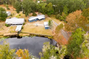 21162 NE 146th Pl, Salt Springs, FL 32134 - Photo 39