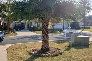 4896 NE 123rd Ln, Oxford, FL 34484 - Photo 55