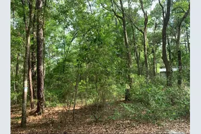 0 NE 226th Street #58, Fort Mc Coy, FL 32134 - Photo 1