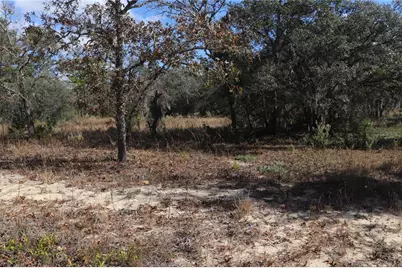 9097 N Peewee Point, Dunnellon, FL 34433 - Photo 3