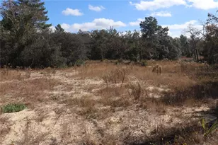 9097 N Peewee Point, Dunnellon, FL 34433 - Photo 1