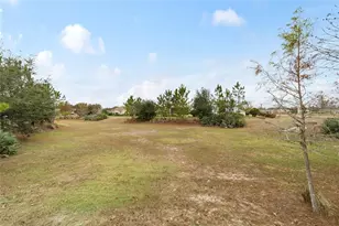 7863 SW 89th Loop, Ocala, FL 34476 - Photo 69