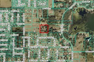 SE 97th Ct, Summerfield, FL 34491 - Photo 1