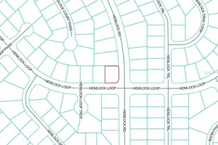 0 Hemlock Loop, Ocala, FL 34472 - Photo 1