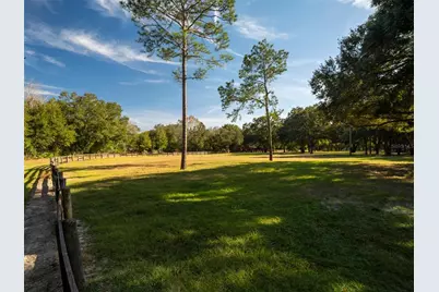 4951 SE 216th Avenue, Morriston, FL 32668 - Photo 29