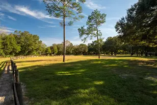 4951 SE 216 Ave, Morriston, FL 32668 - Photo 29