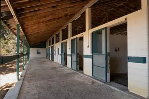 4951 SE 216 Ave, Morriston, FL 32668 - Photo 25