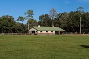 4951 SE 216 Ave, Morriston, FL 32668 - Photo 17