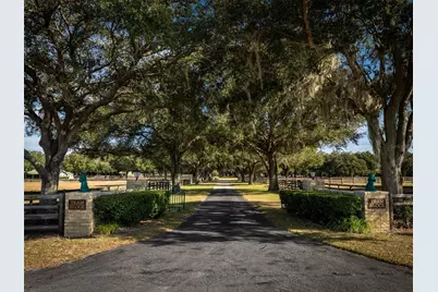 4951 SE 216th Avenue, Morriston, FL 32668 - Photo 3