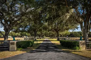 4951 SE 216 Ave, Morriston, FL 32668 - Photo 3