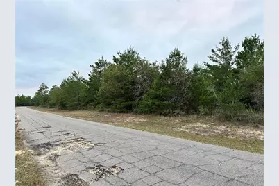 0 Colmart Drive, Chipley, FL 32428 - Photo 3