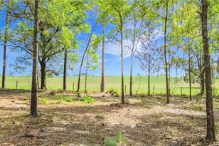 23360 SW Tiger Lake Blvd, Dunnellon, FL 34431 - Photo 39