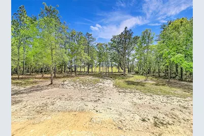 23360 SW Tiger Lake Boulevard, Dunnellon, FL 34431 - Photo 33