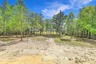 23360 SW Tiger Lake Blvd, Dunnellon, FL 34431 - Photo 33