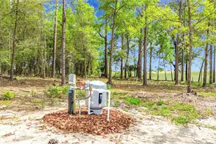 23360 SW Tiger Lake Blvd, Dunnellon, FL 34431 - Photo 37