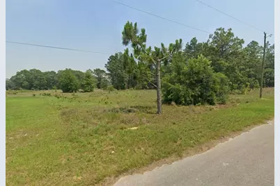 Lot 5 SE Malauka Run, Ocklawaha, FL 32179 - Photo 3