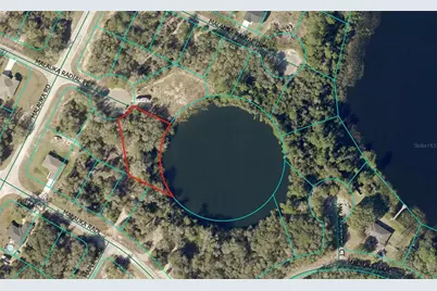 0 Malauka Radial Court, Ocklawaha, FL 32179 - Photo 1