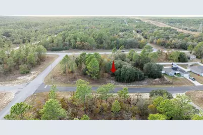 2567 W Wilmington Loop, Citrus Springs, FL 34434 - Photo 9