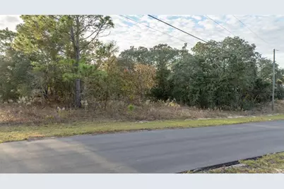 2567 W Wilmington Loop, Citrus Springs, FL 34434 - Photo 13