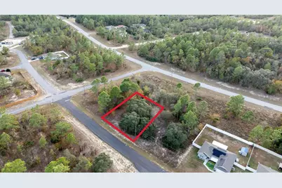 2567 W Wilmington Loop, Citrus Springs, FL 34434 - Photo 3