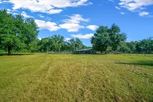 11060 SE 128th Place Rd, Ocklawaha, FL 32179 - Photo 3