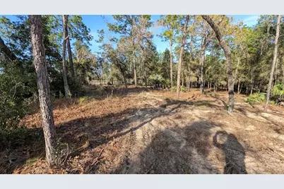 Sw 53rd Street, Ocala, FL 34481 - Photo 5