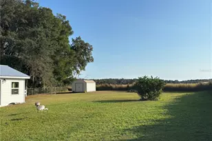 16788 SE 69 Ln, Ocklawaha, FL 32179 - Photo 43