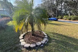 16788 SE 69 Ln, Ocklawaha, FL 32179 - Photo 11